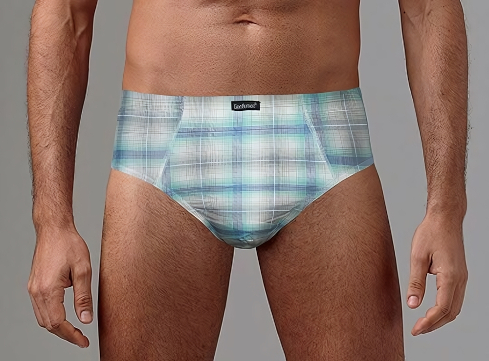 Набор из 2 клетчатых трусов-слипов (Размер: M) (Цвет: разноцветный)