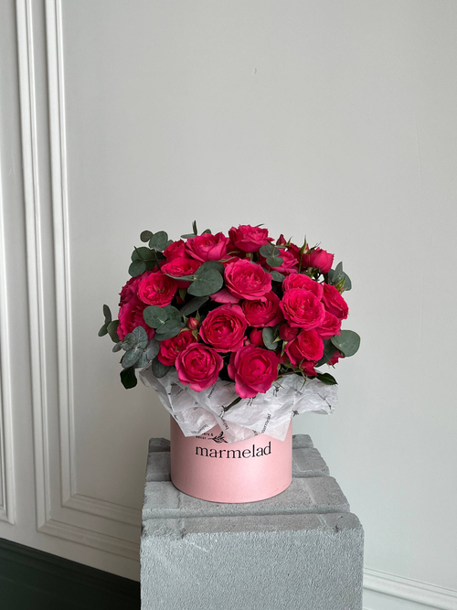 собран сегодня #02