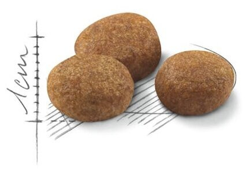 внешний вид корма