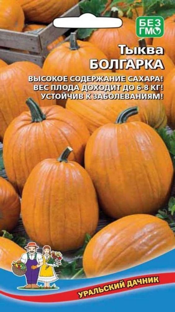 Тыква &quot;Болгарка&quot; 6шт, Россия.