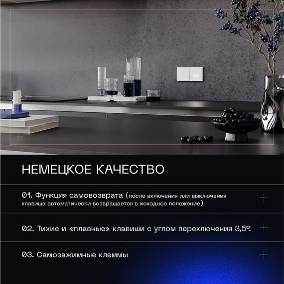 Выключатель с самовозвратом встраиваемый Voltum S70 одноклавишный 10А, (белый матовый) VLS010602