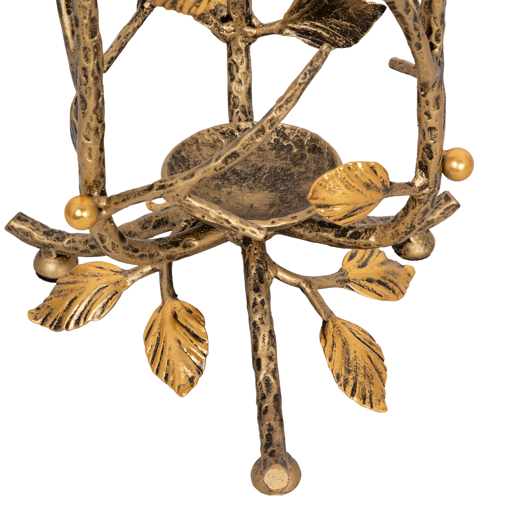 Зонтница Терра Амбер