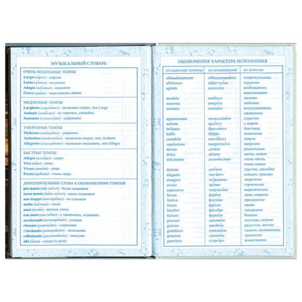 Дневник для музыкальной школы 48 л., твердый, BRAUBERG, выборочный лак, справочный материал, Симфония, 103601