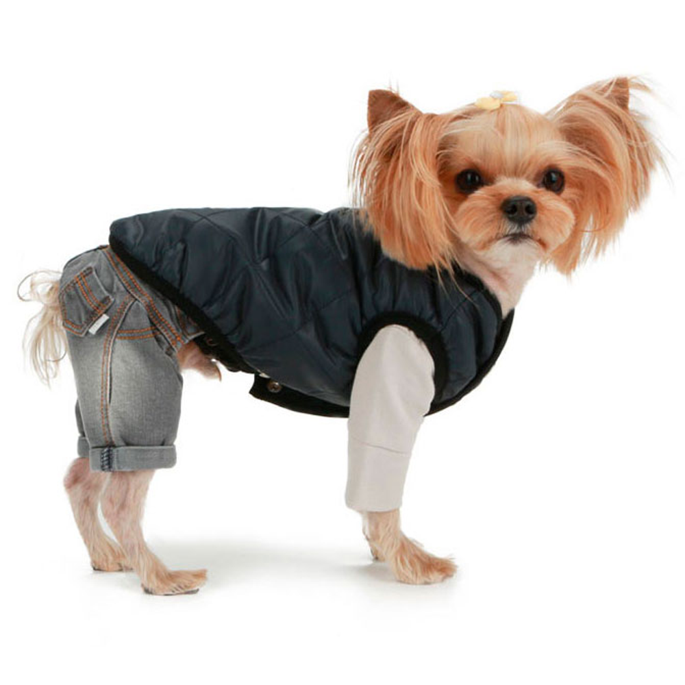 275 PA-OR Брюки "Джинсики" /джинсы для собак