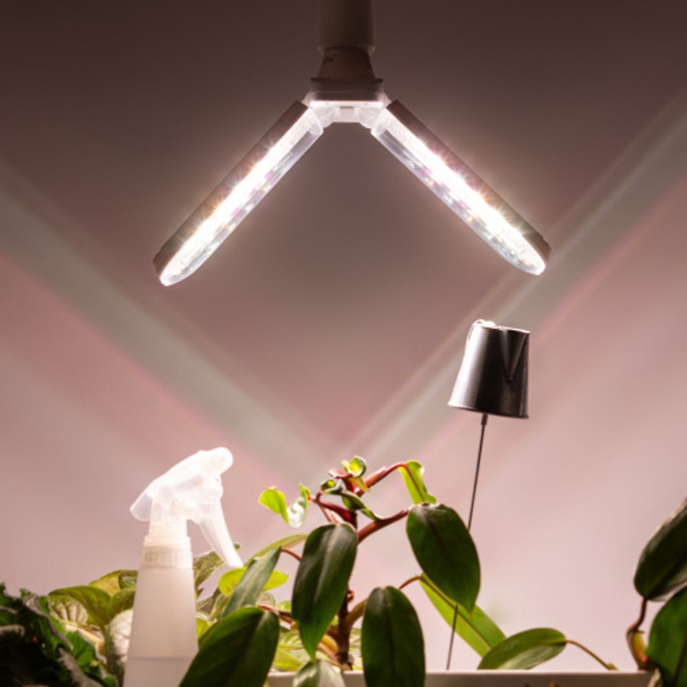 Фитолампа для растений светодиодная ЭРА GREEN LINE ФИТО-20W-PFR-E27-GR 2-х лепестковая полного спектра 20 Вт Е27