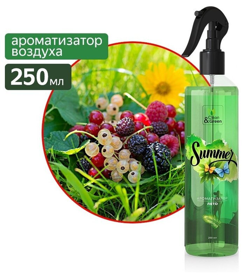 АРОМАТИЗАТОР ВОЗДУХА ЛЕТО ТРИГГЕР 250 МЛ CG8128