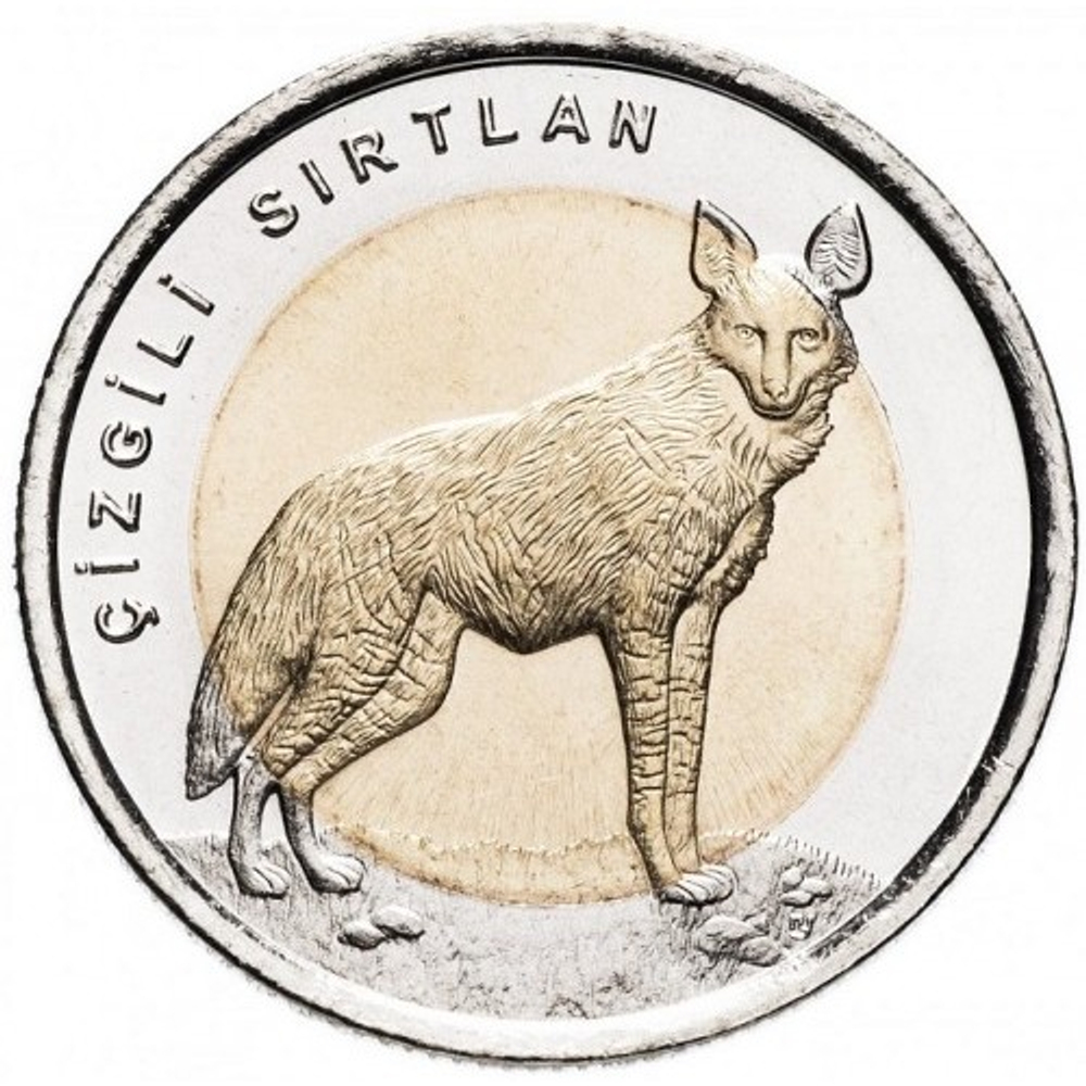 Полосатая гиена