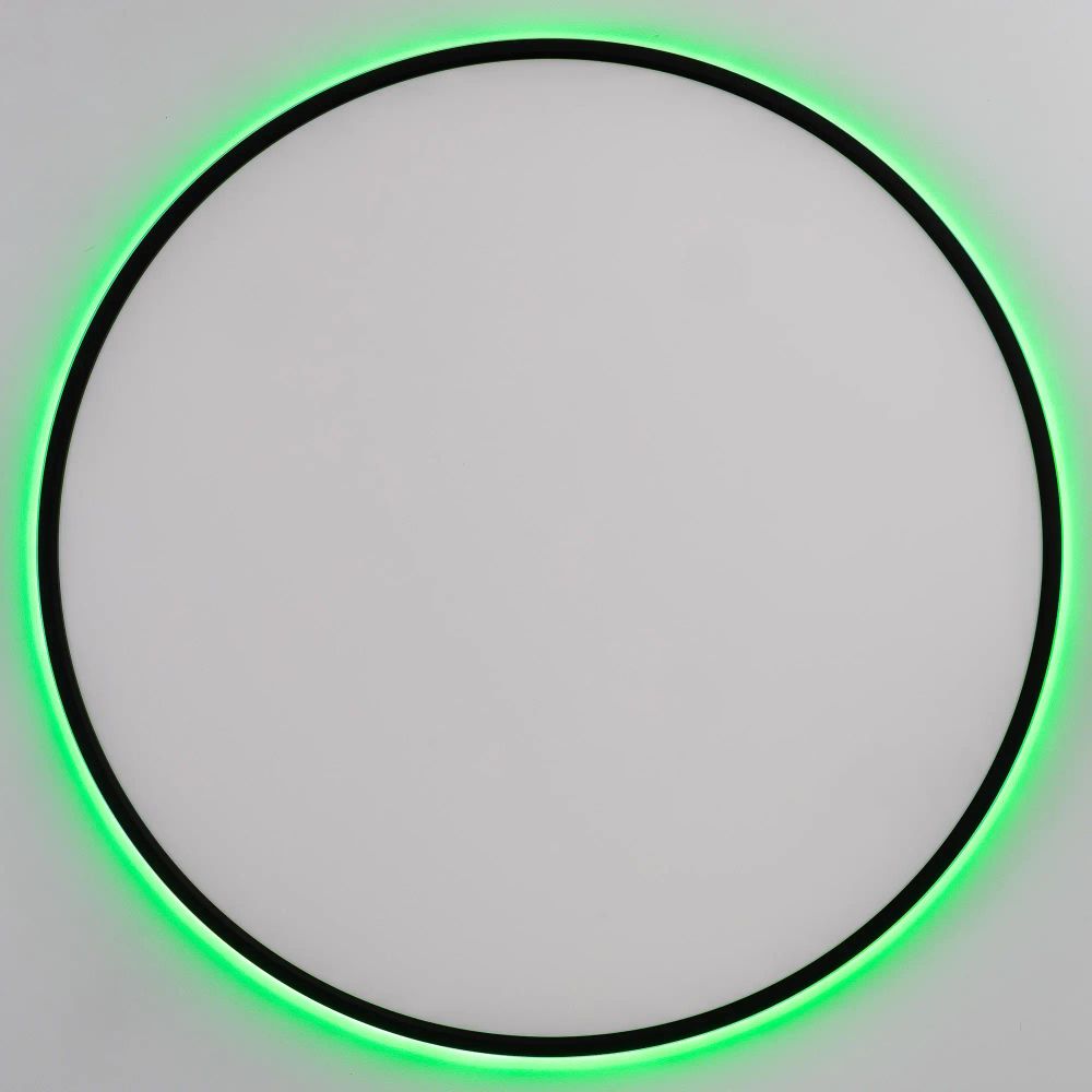 Citilux NORMA CL749601 LED RGB Светильник с пультом Чёрный