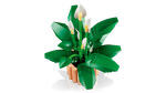Конструктор LEGO Botanicals 11504 лего Спатифиллум, декоративный и реалистичный