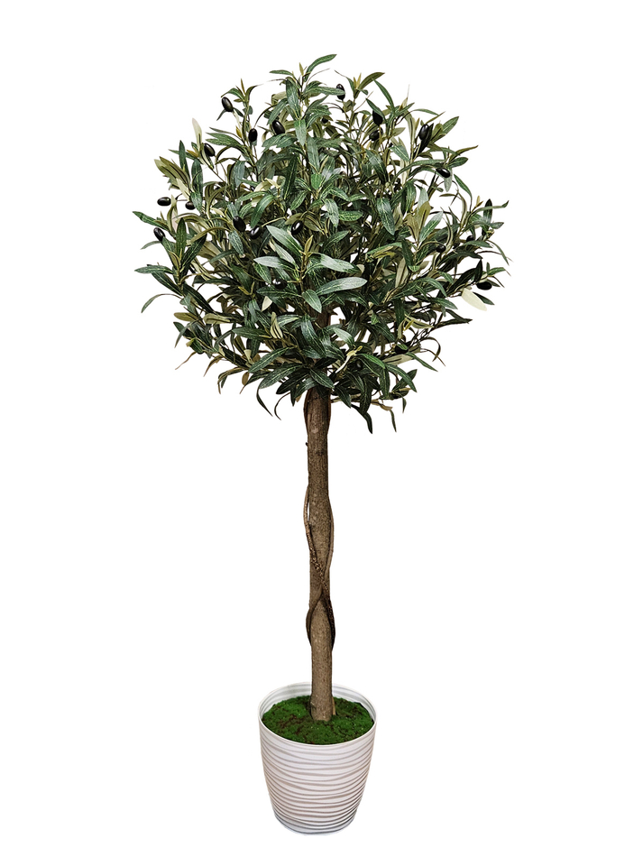 Дерево Олива шар 130см в кашпо