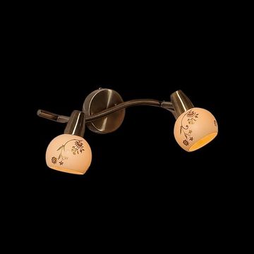 Спот CL520523 бронза старая Соната Citilux