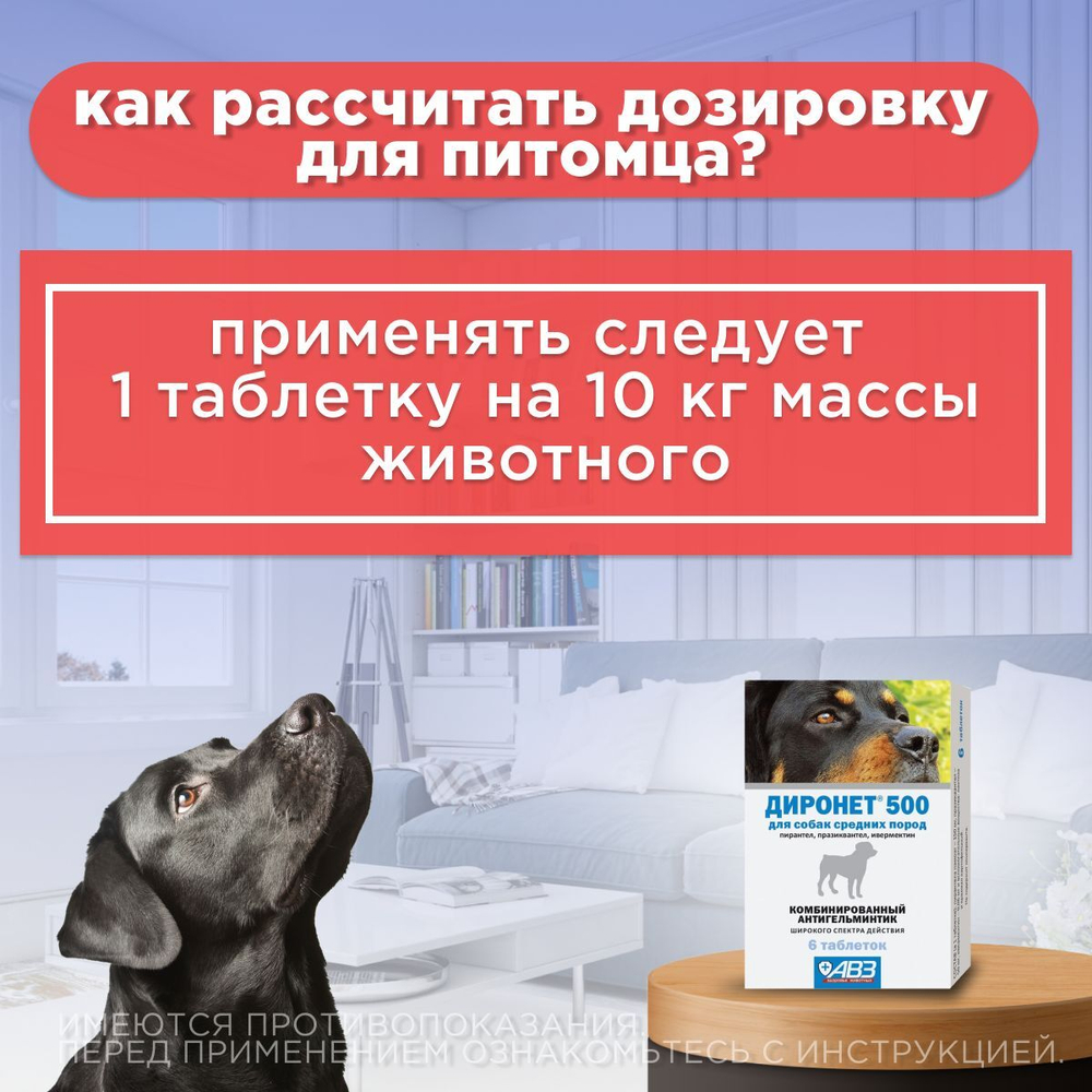 Таблетки от гельминтов АВЗ ДИРОНЕТ 500 для собак средних пород, 6 таблеток
