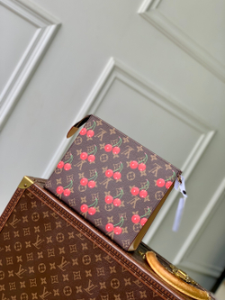 Louis Vuitton Toiletry Pouch