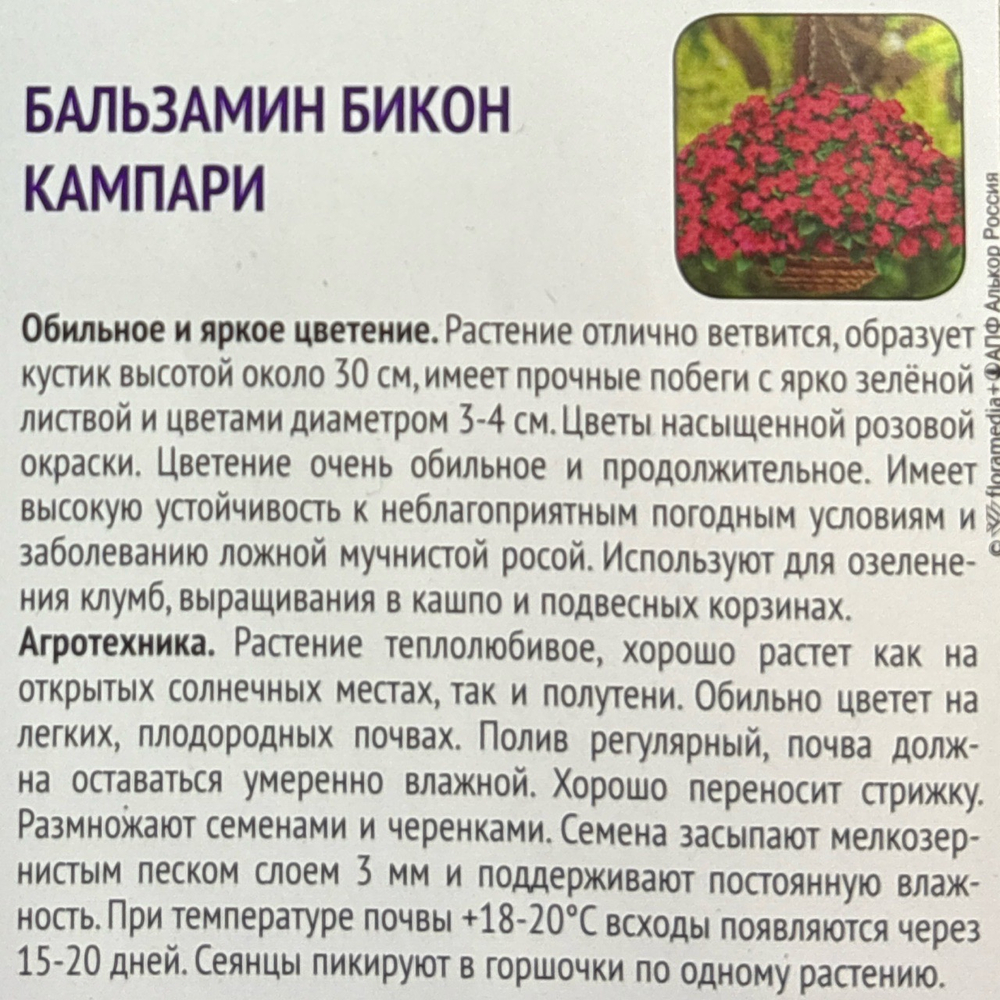 Бальзамин Бикон Кампари 7 шт СМЦ-779
