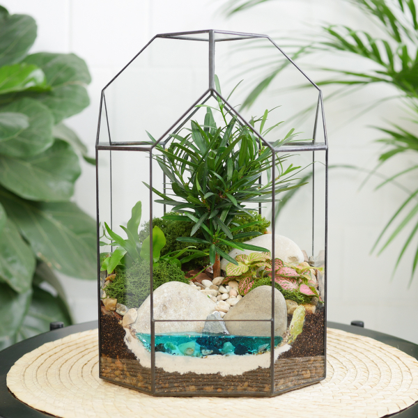 Готовый флорариум бонсай Подокарпус Бонсариум с озером