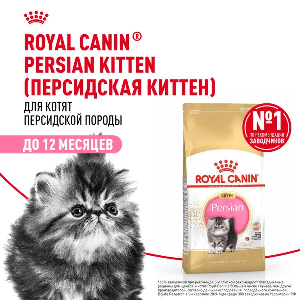 Сухой корм Royal Canin Persian Kitten для персидских котят (до 12 месяцев)