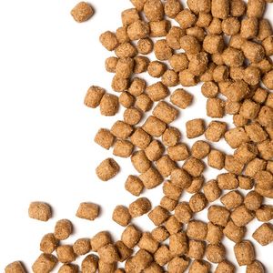 Уценка! Повр.Упак/Сухой корм ProBalance Adult Immuno Protection для кошек с курицей и индейкой