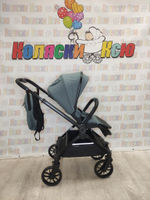 Коляска модульная Rant Vector Grey