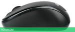 Мышь Acer OMR133 черный (ZL.MCEEE.01G)