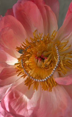 Эластичный браслет "Луны" (3 мм)