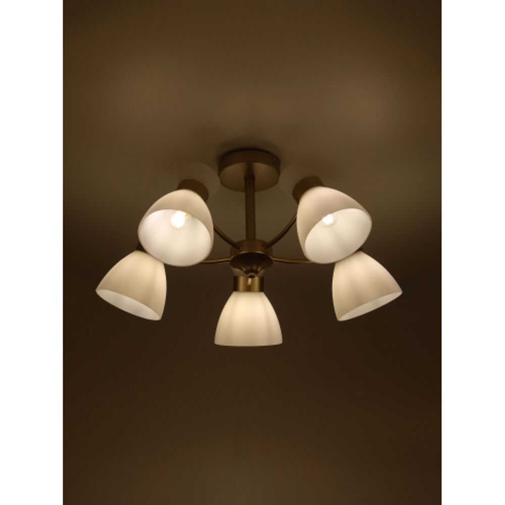 Люстра Rivoli Wendy 9184-305 5хЕ27 60 Вт модерн | Rivoli