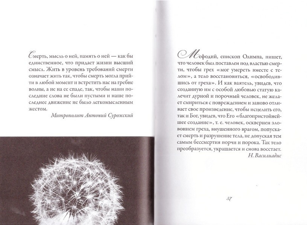 Мудрые мысли о жизни и бессмертии