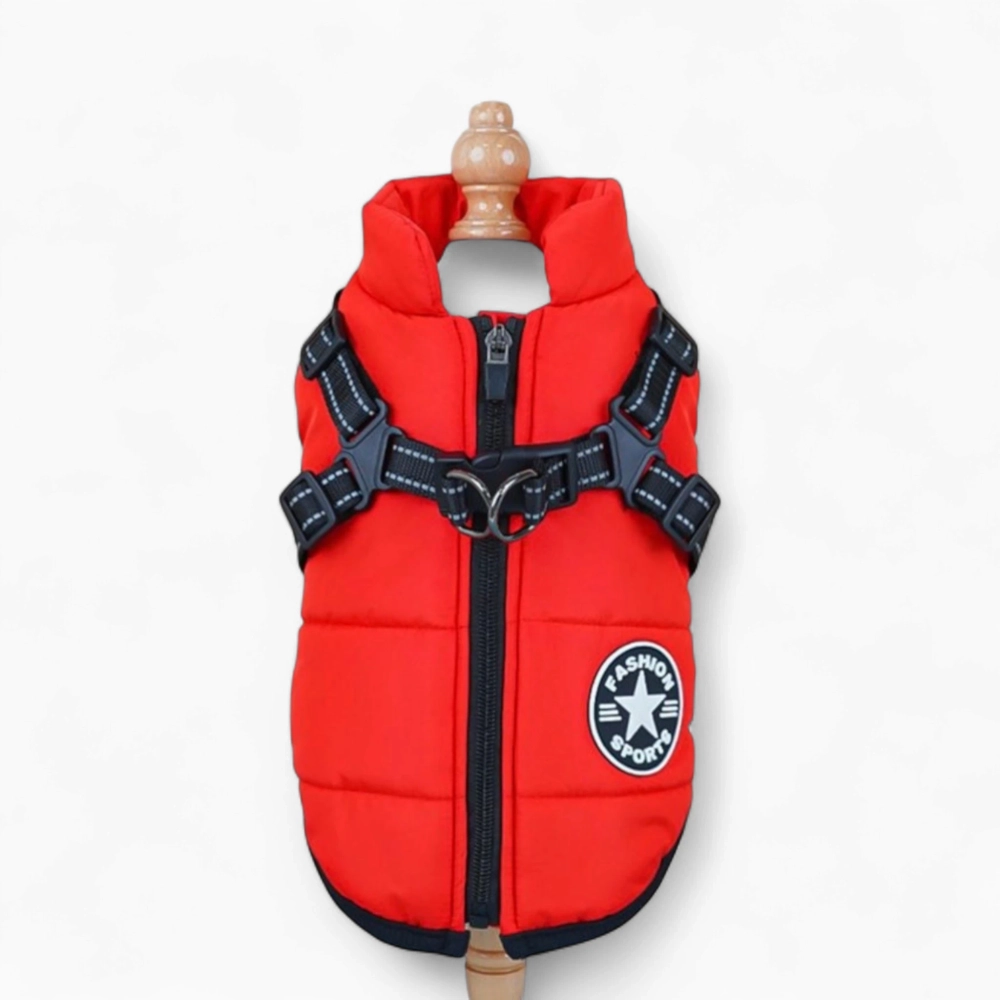 Жилетка «Fashion Star»