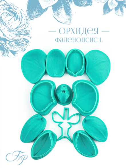 Орхидея Фаленопсис L