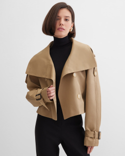 photo_2025-11-02_05-29-59