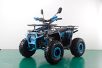 Квадроцикл Racer FREELANDER PRO125 XTS