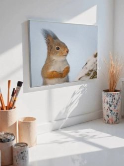 Картина на стену 40 X 50 Белка