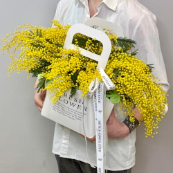 «Мимозье» композиция из мимозы