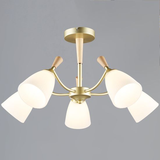 38960-0.3-05 GD+WOOD светильник потолочный