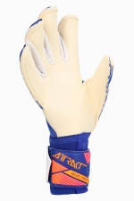 Вратарские перчатки Reusch Attrakt Duo Evolution - синий