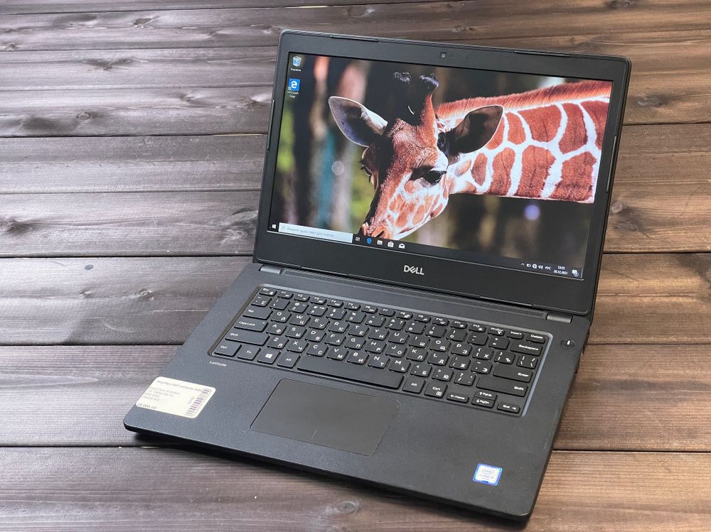 Ноутбук Dell Latitude E3480