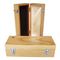 Telefunken U48 Silver