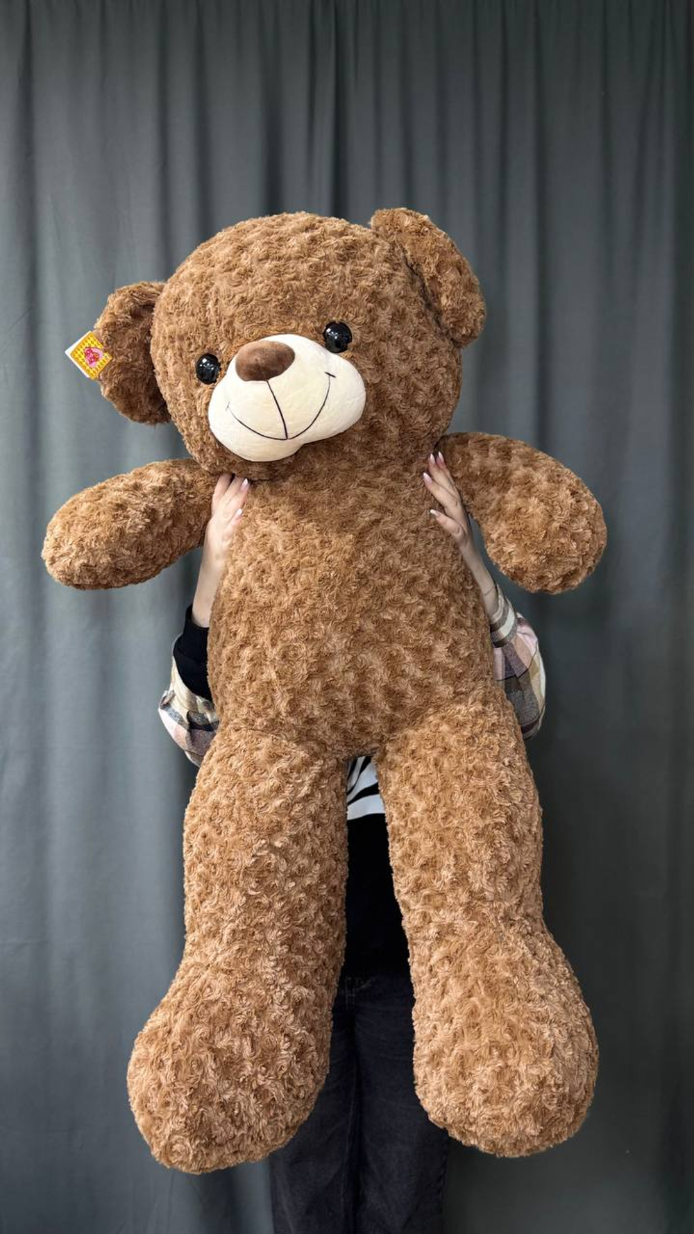 Большой коричневый медведь