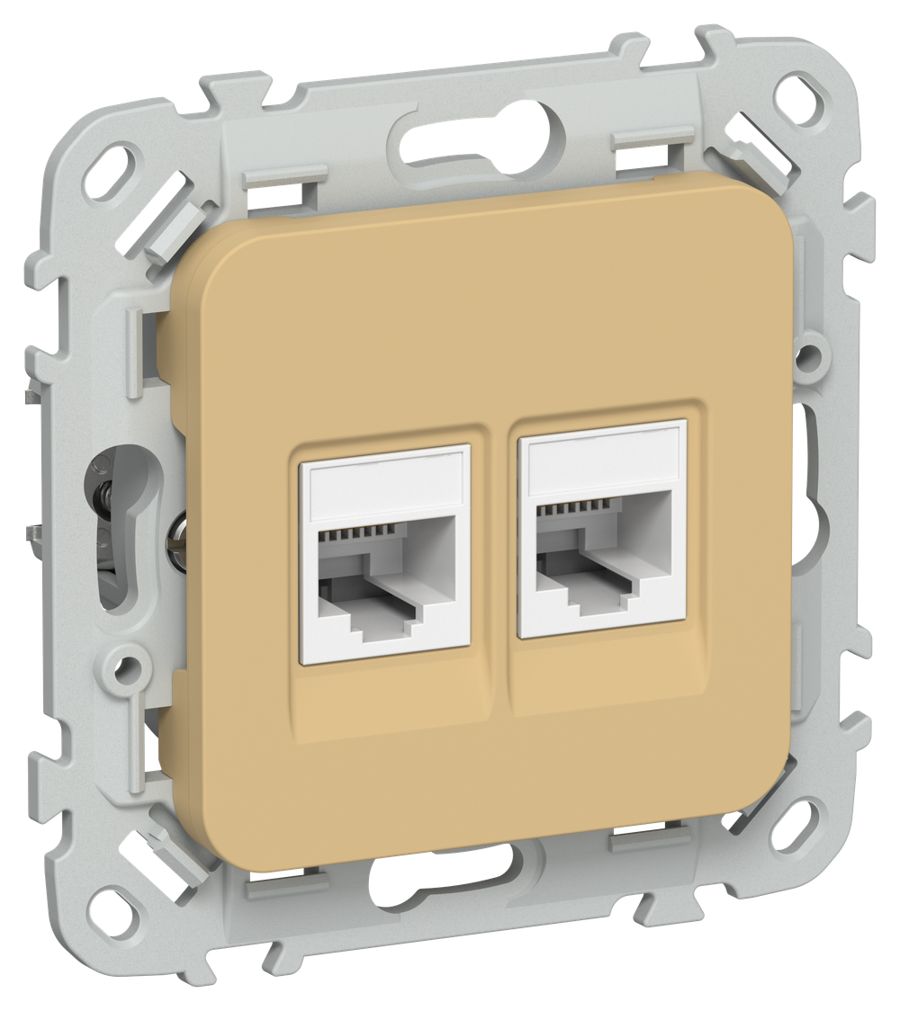 FLITE Розетка 2-местная компьютерная RJ45 категория 5Е UTP РК5е-2-0-ФлШм шамуа IEK