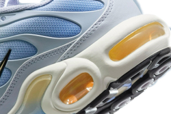 Кроссовки женские NIKE W AIR MAX PLUS BODY FADE