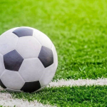 Искусственная трава для спортивных объектов DiaSport ProfiFootball M60, 4м