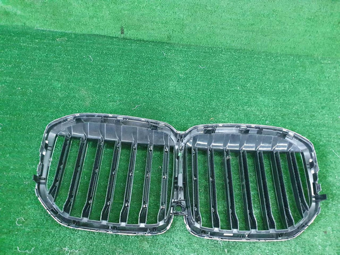 Решетка радиатора BMW X7 G07 (2019-2022)