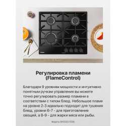 Газовая панель Hansa BHGS6515506