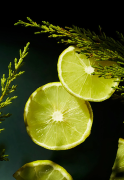 Шампунь для мужчин Rituals Strengthening Caffeine Shampoo