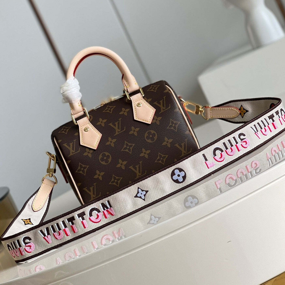 Louis Vuitton Speedy 20