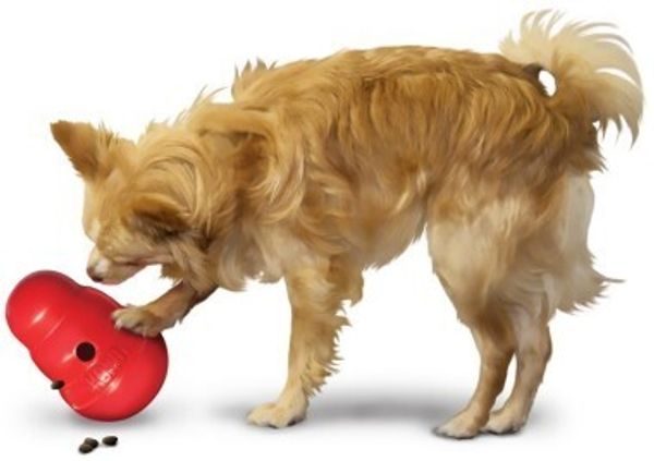 5 классных игрушек для собак, которые вы сделаете своими руками | Догги Академия | Дзен