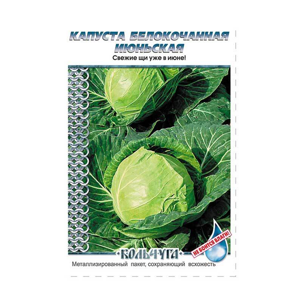 Капуста Июньская "Кольчуга"