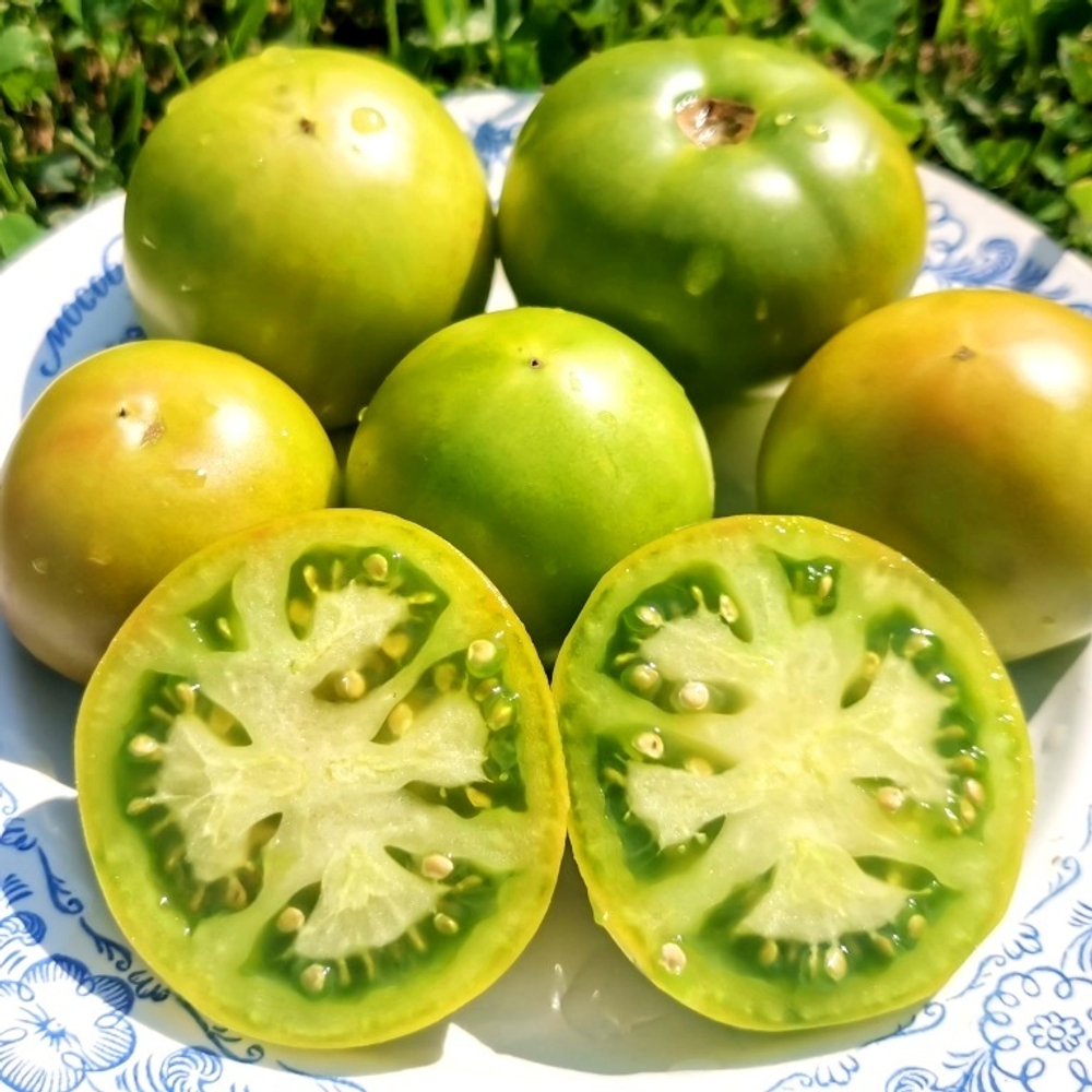 Помидоры Зелёный Карлик Келли - Dwarf Kelly Green Tomato