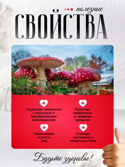 Мухомор красный (Amanita muscaria) 60 капсул