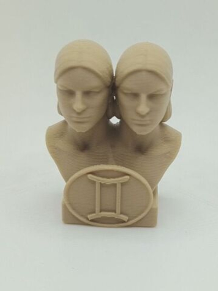 Знак зодиака Близнецы