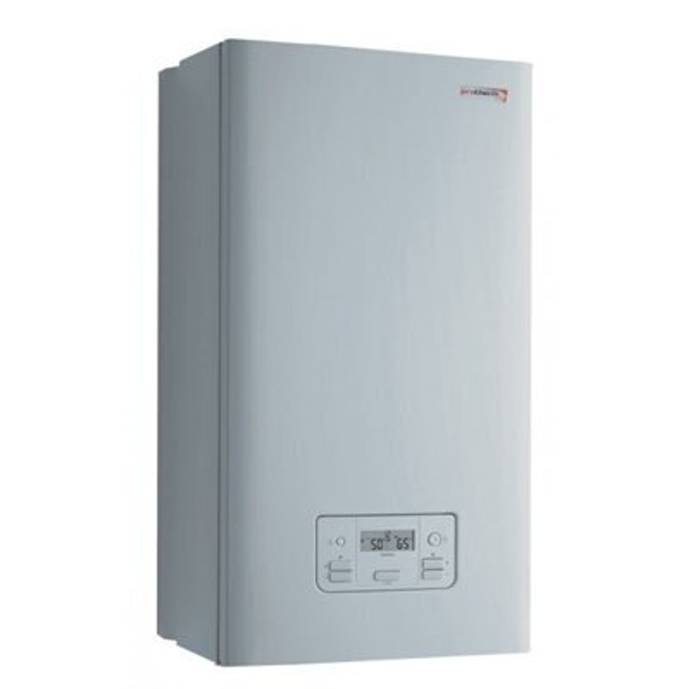 Настенный газовый котел Protherm Гепард 23MTV